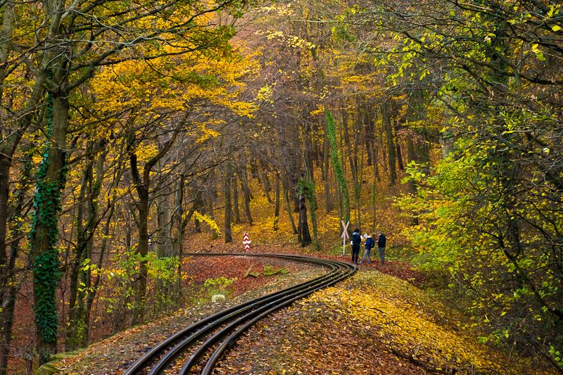 The Budapest Children's Railway at autumn photo