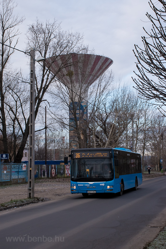 Az Arriva MAN Lion's City NAY-362 autóbusza a 36-os vonalon Pestszentlőrinc állomáson fotó