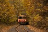 The MV-START 117 298 seen between Szokolya and Berkenye