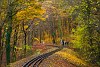 The Budapest Children's Railway at autumn