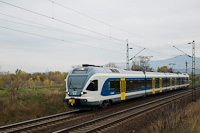 kép