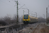 kép