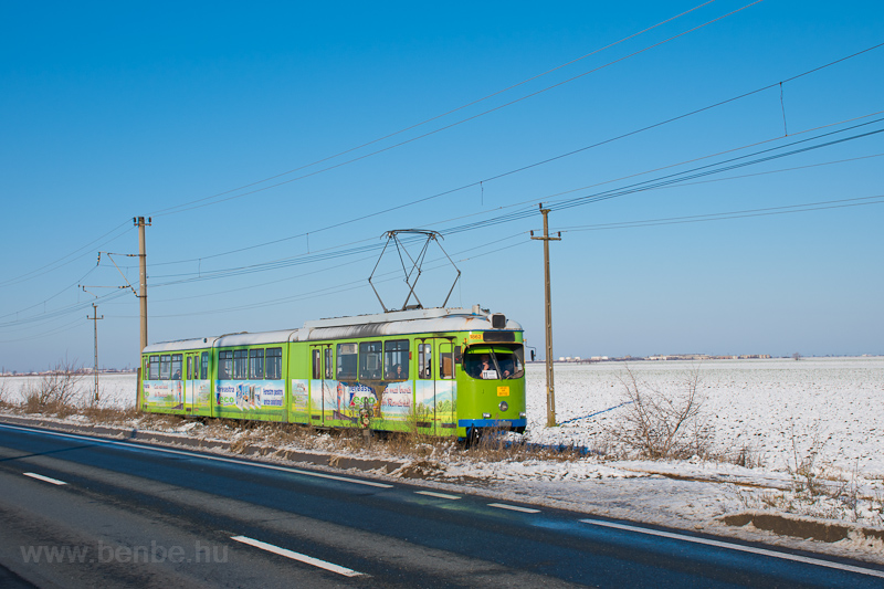 The CTP Arad (Arad Public Tansport Authority) DWAG 1862 seen at Arad-Gyorok interurban tramway before Mandruloc photo