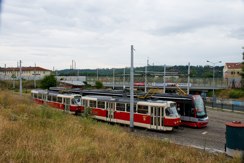 The Tatra T3SUCS trams no.  photo