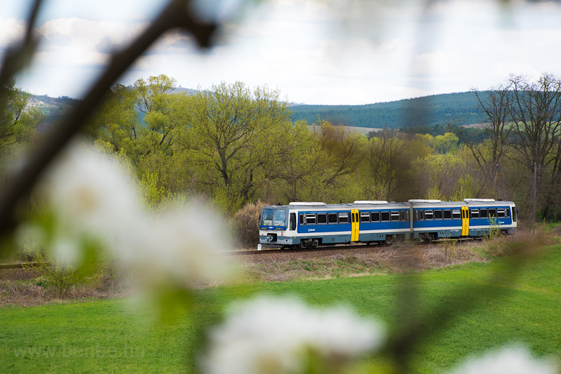 The MV-START 416 022 seen between Pszt and Mtraszőlős-Hasznos photo