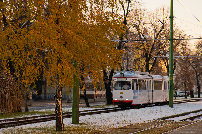 The CTP Arad (Arad Public Transport Agency) DWAG 1852 seen at Arad, Boulevard Revolutiei photo