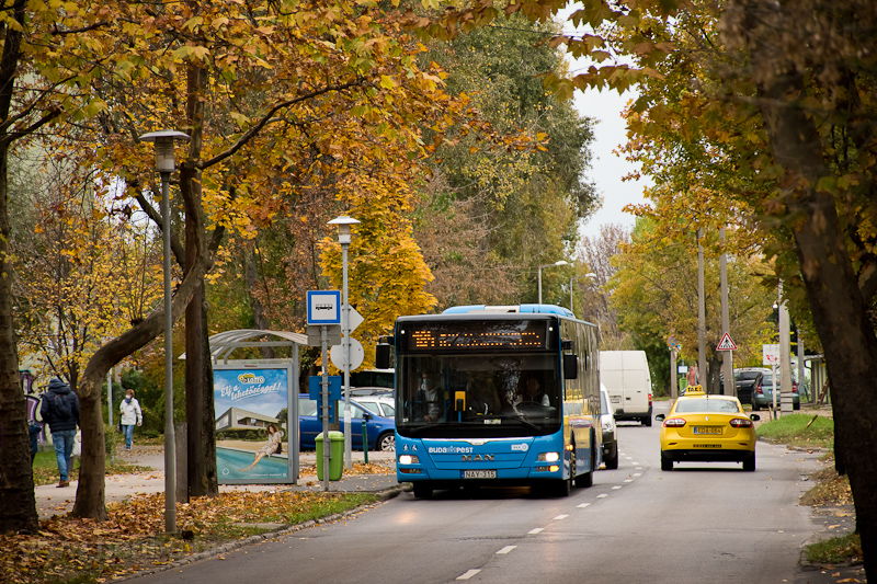 MAN bus in Arriva's fleet for Budapest, on line 184, at Tindi utca stop photo