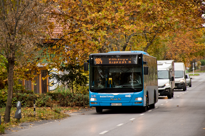 Az NAY-315 rendszm MAN autbusz az Arriva szneiben a 184-es autbuszvonalon a Tindi utca megllhelynl fot