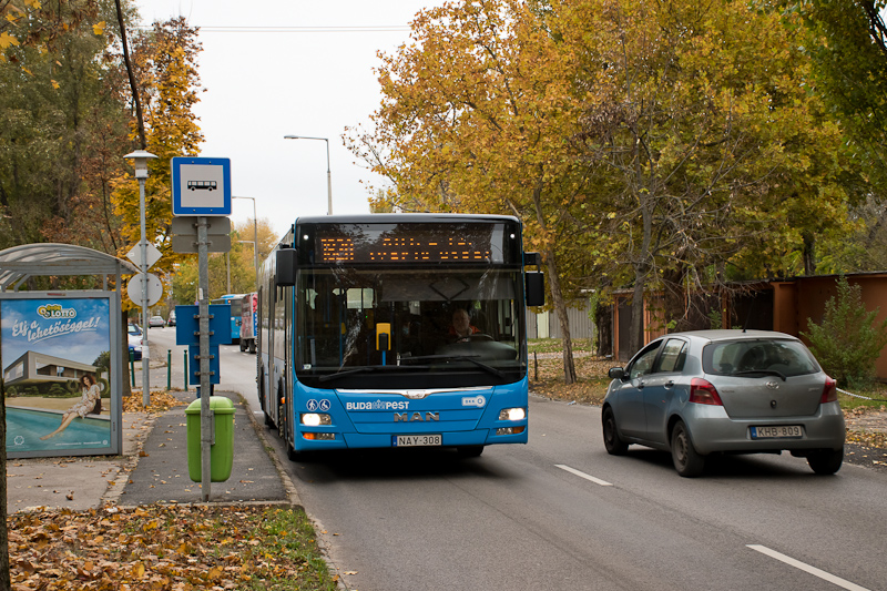 Az NAY-308 rendszm MAN autbusz az Arriva szneiben a 184-es autbuszvonalon a Tindi utca megllhelynl fot