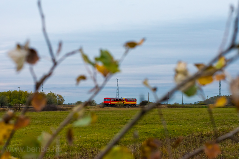 A MV-START 117 315 Kettőshalom s Gtr kztt a Szentes - Csongrd - Kiskunflegyhza vastvonalon, őszi levelek keretben fot