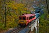 A MÁV-START 418 319 Porva-Csesznek és Vinye között a Porva-cseszneki I. alagút és a Gubányi Károly-viaduktnál