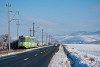 The CTP Arad (Arad Public Tansport Authority) DWAG 1862 (AR 00102) seen at Arad-Gyorok interurban tramway seen before Ghioroc