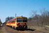 A MÁV-START 117 384 Nyárjas és Világoshegy között