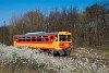 The MV-START 117 263 seen between Tőserdő and Tiszaalpr felső