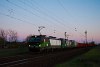 Az ELL 193 272 Vectron Sződ-Sződliget és Vác-Alsóváros között