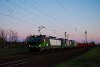 The ELL 193 272 Vectron seen between Sződ-Sződliget and Vc-Alsvros