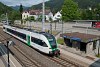 Az StB - Steiermarkbahn 4062 003-0 plyaszm Stadler GTW Stbing megllhelyen