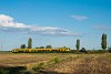 The GYSEV 435 503 seen between Veszkny and Kapuvr