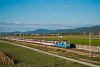 The ŽSSK electric locomotive 350 004-8 Gorilla Hugo seen between Brunovce and Horn Streda