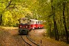 A MÁV Széchenyi-hegyi Gyermekvasút Mk45 2002 Vadaspark fmh. és Szépjuhászné között