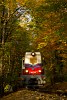 A MÁV Széchenyi-hegyi Gyermekvasút Mk45 2002 Szépjuhászné és Vadaspark fmh. között