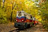 A MÁV Széchenyi-hegyi Gyermekvasút Mk45 2005 Vadaspark fmh. és Szépjuhászné között