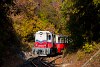 A MÁV Széchenyi-hegyi Gyermekvasút Mk45 2005 Szépjuhászné és Vadaspark fmh. között