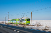 The CTP Arad (Arad Public Tansport Authority) DWAG 1862 seen at Arad-Gyorok interurban tramway before Mandruloc