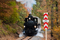 The MV Szchenyi-hegyi Gyermekvast's steam locomotive 490,039 seen between Hrs-hegy and Szpjuhszn