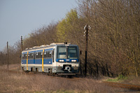 The MÁV-START 416  029 seen between Világoshegy and Szikra