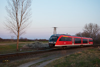 kép