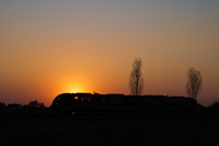 The MÁV-START 426 012 seen between Táborfalva and Felsőlajos in the sunset