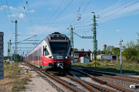 kép