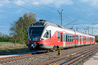 kép
