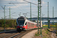 kép