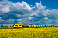 A GYSEV 435 510 pályaszámú Stadler FLIRT3 motorvonata Csorna és Farád között