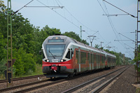 kép