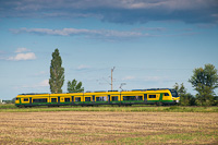 kép