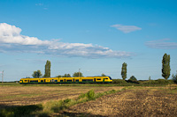 kép