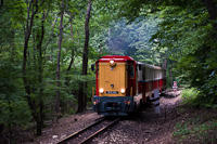 The MÁV Széchenyi-hegy Children's Railway Mk45 2006 seen between Szépjuhászné and János-hegy