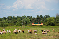 The MV-START 117 306 seen between Szcsny and Hugyag