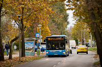 Az NAY-315 rendszm MAN autbusz az Arriva szneiben a 184-es autbuszvonalon a Tindi utca megllhelynl