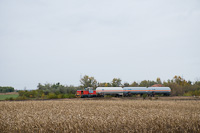 A MÁV-START 478 239 Borsihalom és Kismindszenti út között, a 146-os Kunszentmárton - Lakitelek - Kiskunfléegyháza vasútvonalon gázszállító tehervonattal