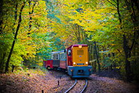 A MÁV Széchenyi-hegyi Gyermekvasút Mk45 2006 Vadaspark fmh. és Szépjuhászné között