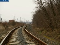 kép