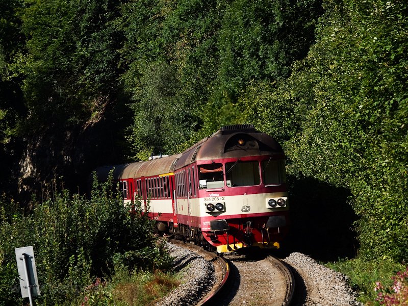 A ČD 854 205-2 Mlad Bloselav-Debř s Bakov nad Jizerou kztt fot