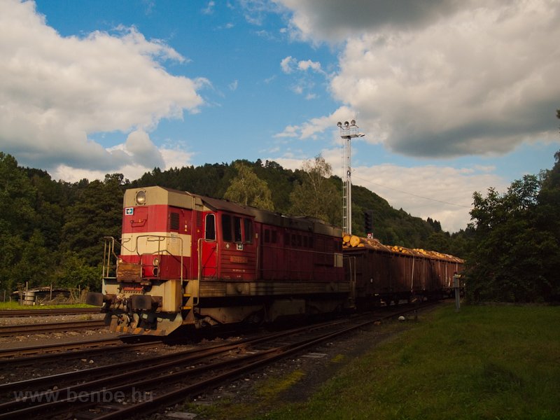 The ČD 742 217-3 seen  photo