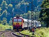 The ČD 362 119-0 seen between sti nad Orlici and Bezprvi