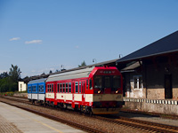 kép