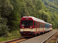 kép